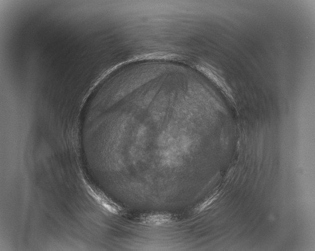 X0000082720156200702161850