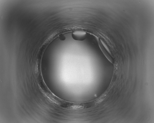 X0000082720158200702161850