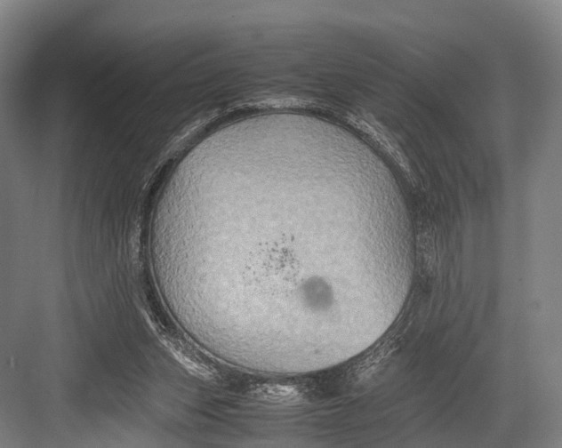 X0000082720159200702161850