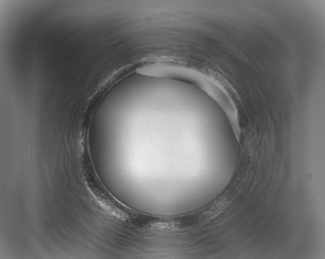 X0000082720160200702161850