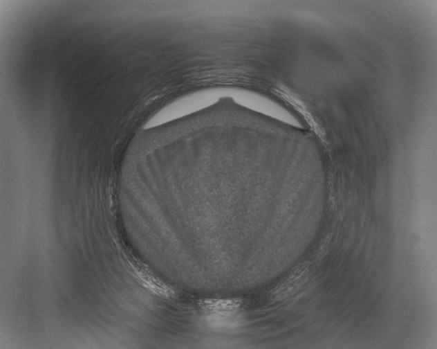 X0000082720161200702161850