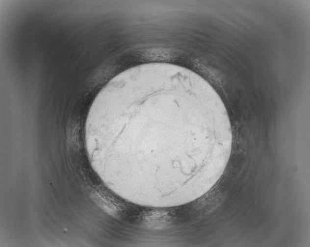 X0000082720162200702161850