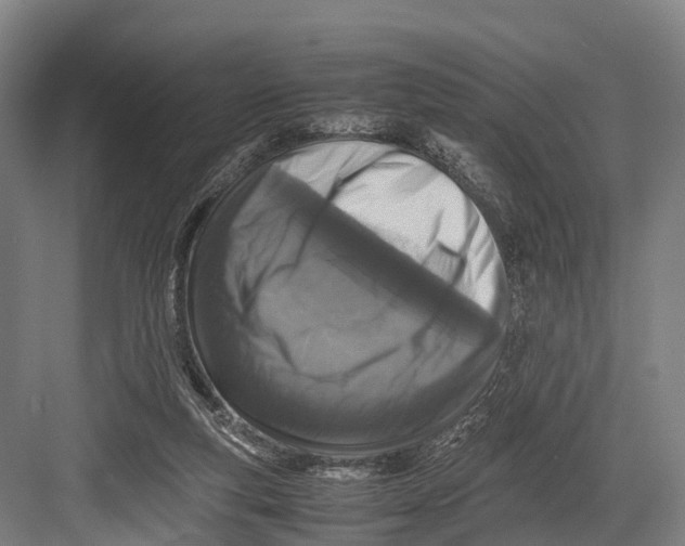 X0000082720163200702161850