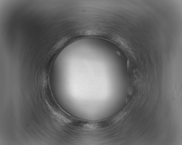 X0000082720164200702161850