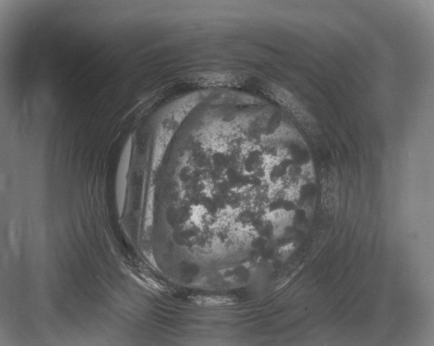 X0000082720165200702161850