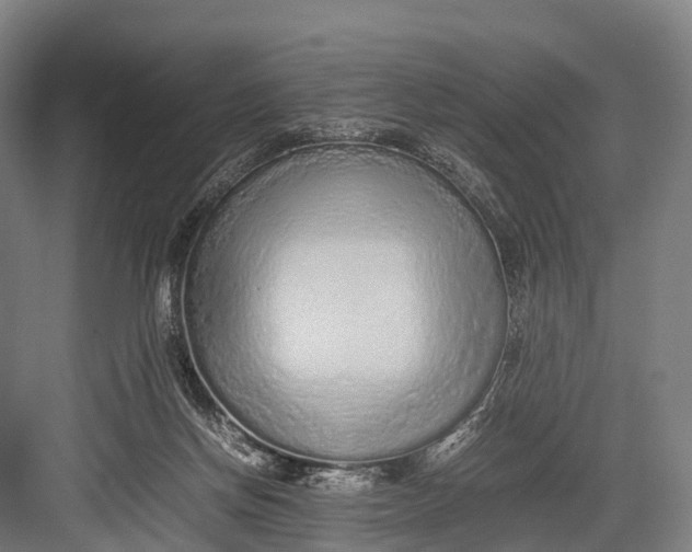 X0000082720166200702161850