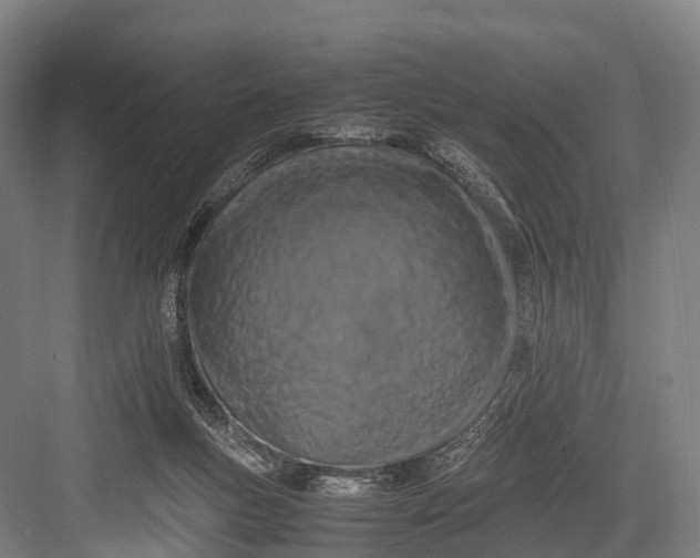 X0000082720167200702161850