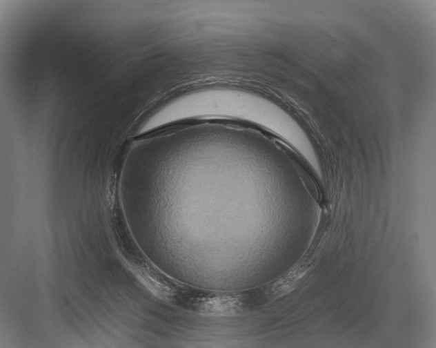 X0000082720168200702161850