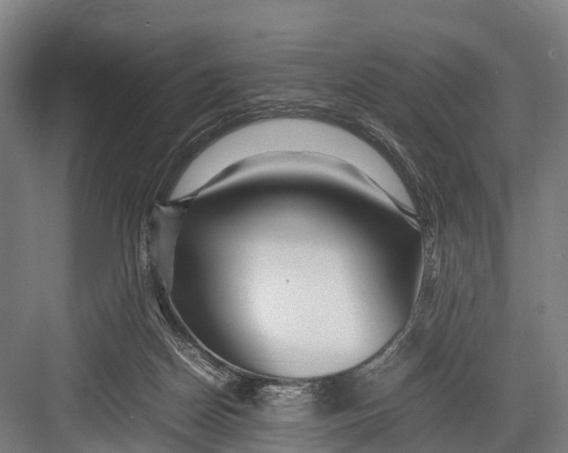 X0000082720170200702161850