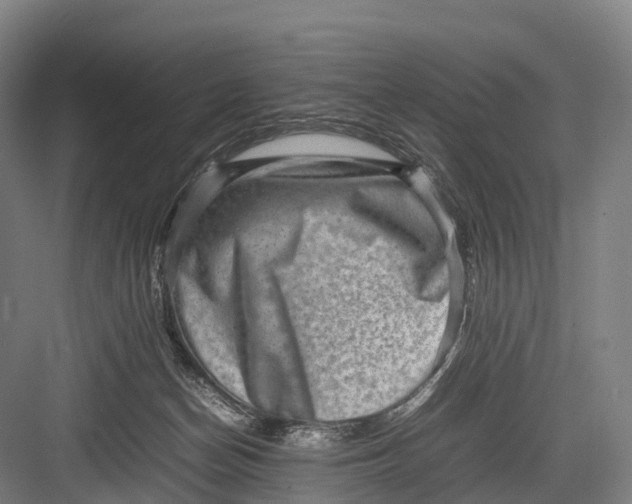 X0000082720174200702161850