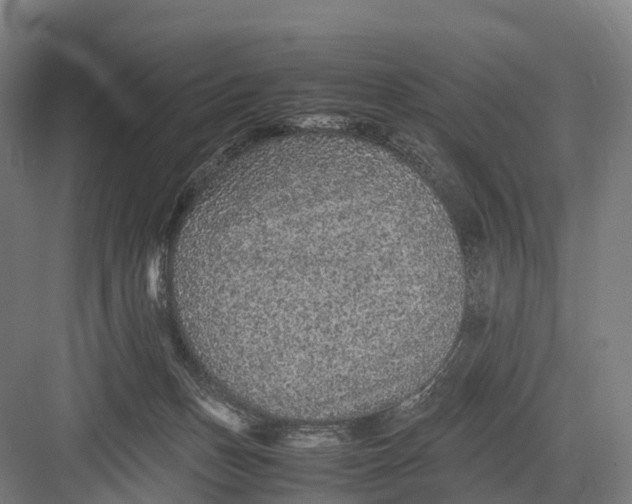 X0000082720175200702161850