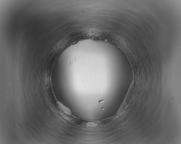 X0000082720176200702161851