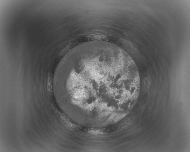 X0000082720177200702161851