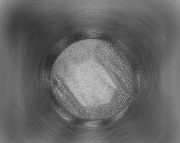 X0000082720178200702161851