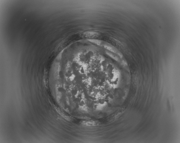 X0000082720181200702161851