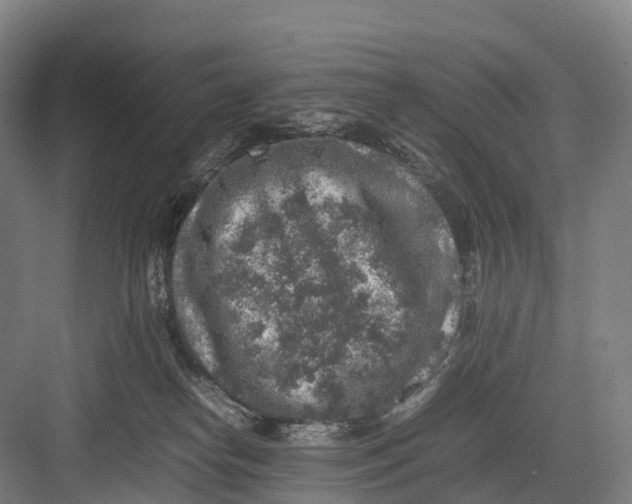 X0000082720182200702161851