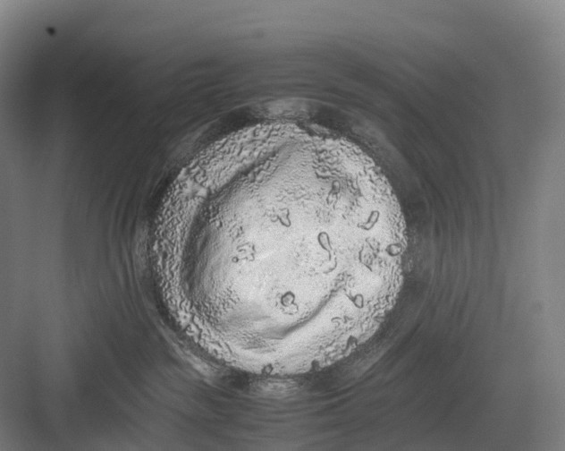 X0000082720189200702161851