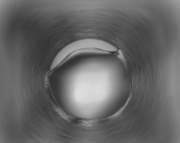 X0000082720190200702161851