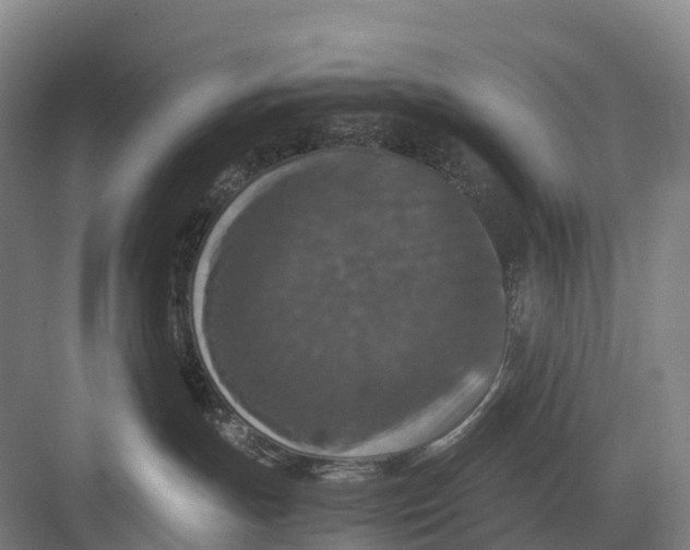 X0000082720191200702161851