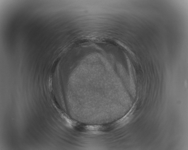 X0000082720192200702161851