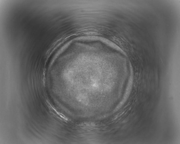 X0000082720194200702161850