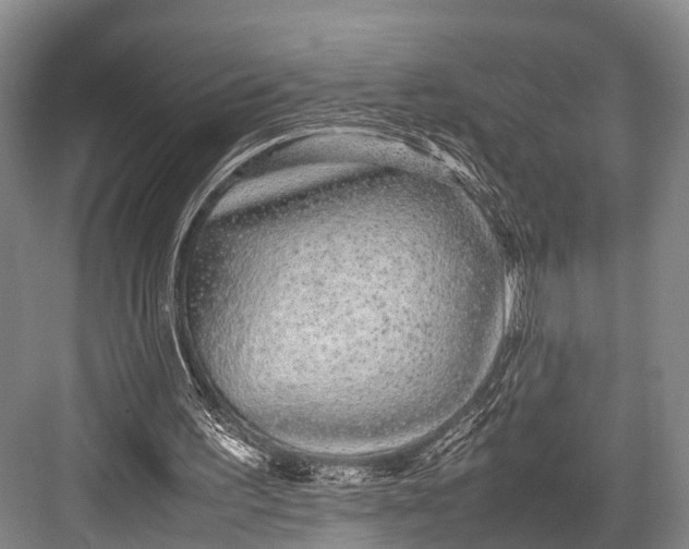 X0000082720195200702161850