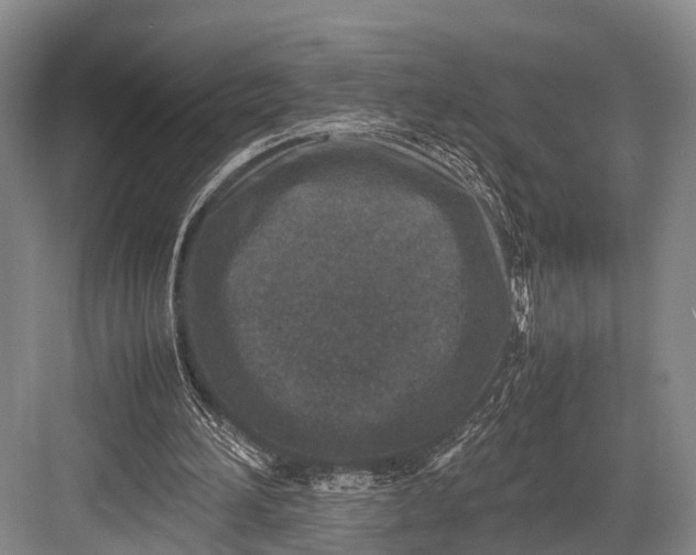 X0000082720196200702161850