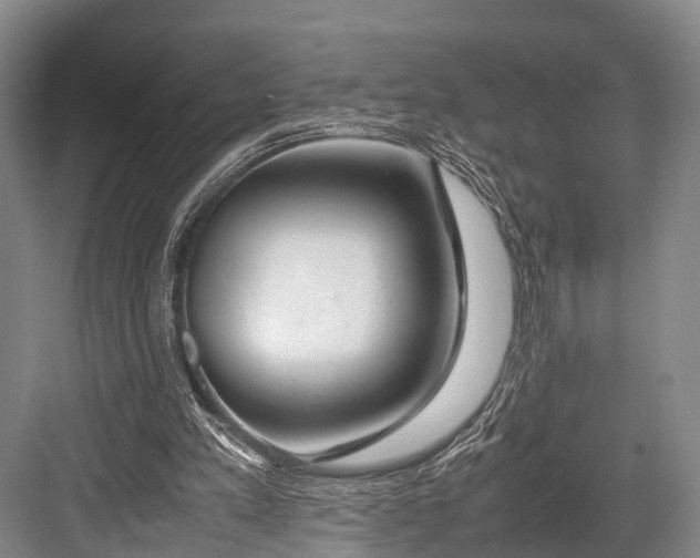 X0000082720197200702161850