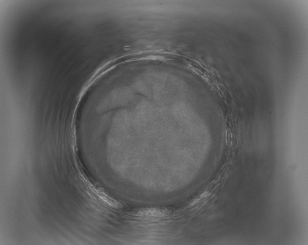 X0000082720198200702161850