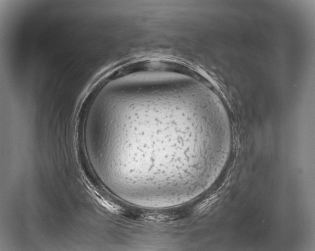 X0000082720199200702161850