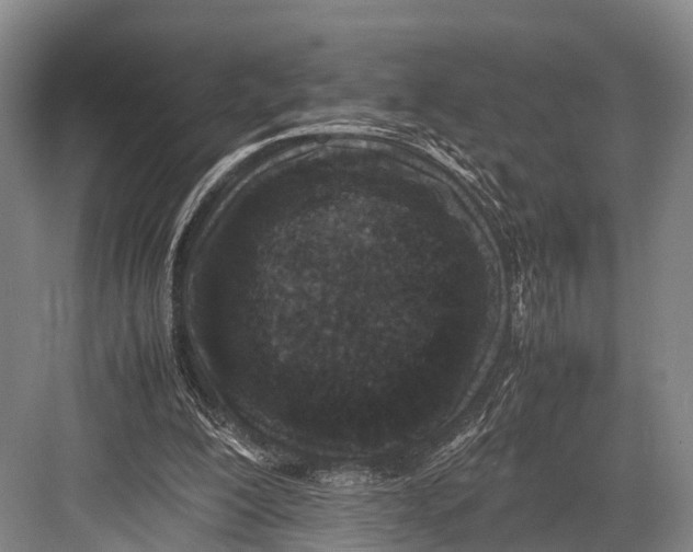 X0000082720200200702161850