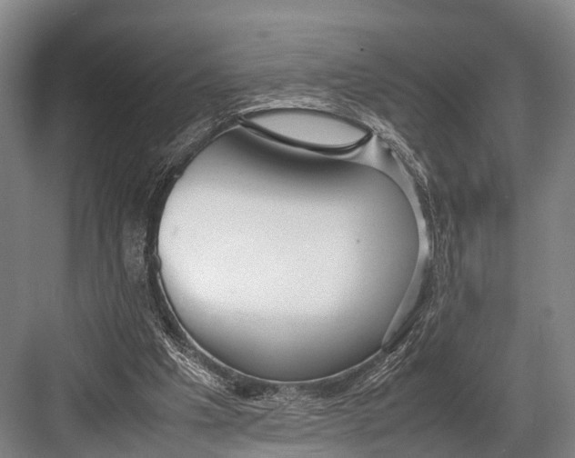 X0000082720201200702161850