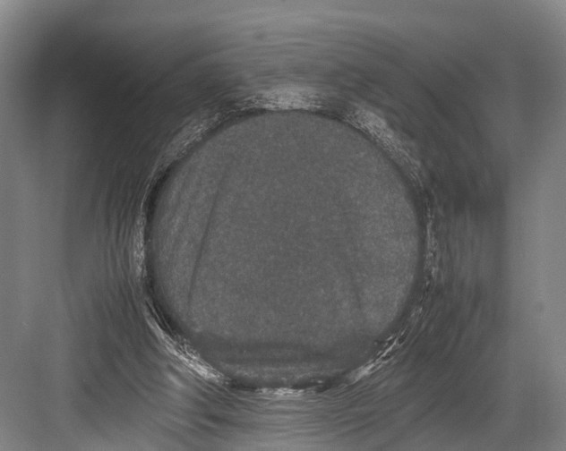 X0000082720202200702161850