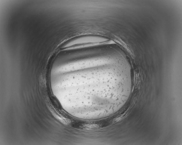 X0000082720203200702161850