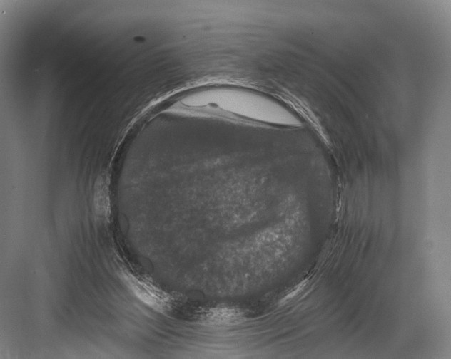 X0000082720204200702161850