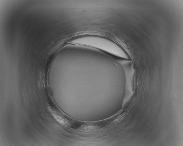 X0000082720205200702161850