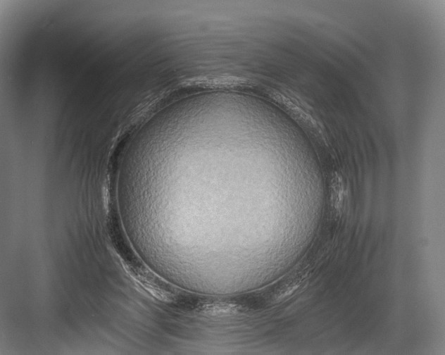 X0000082720206200702161850