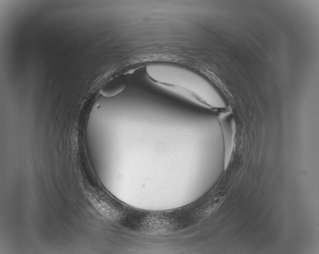 X0000082720207200702161850