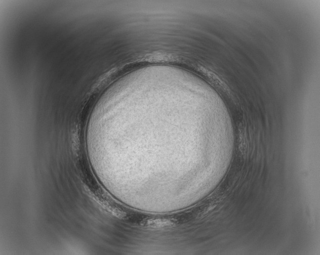 X0000082720208200702161850