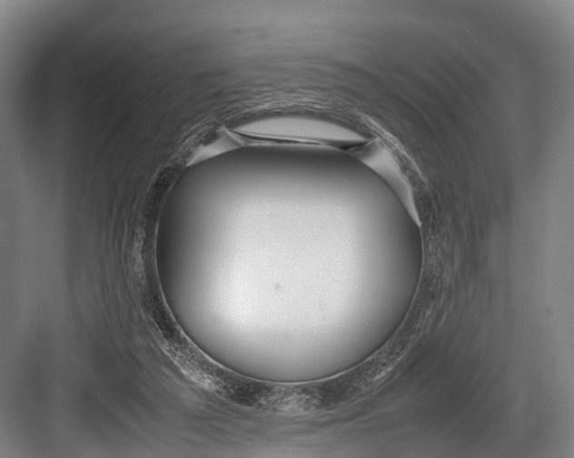 X0000082720209200702161850