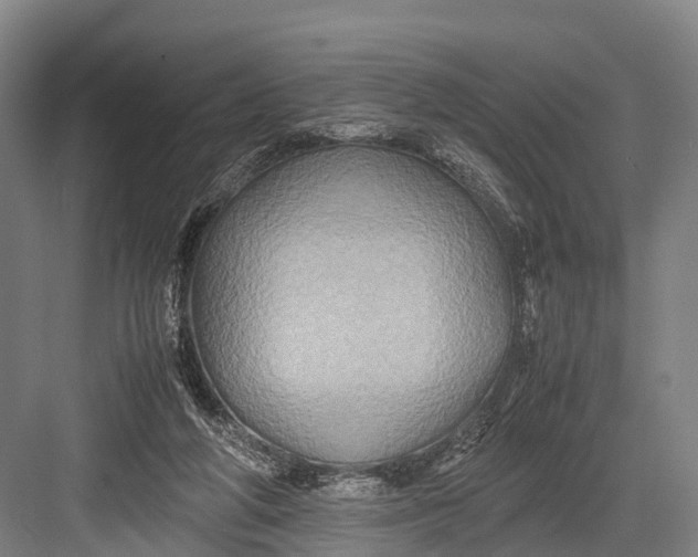 X0000082720210200702161850