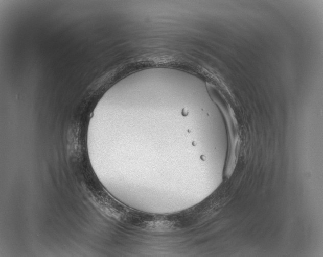 X0000082720212200702161850