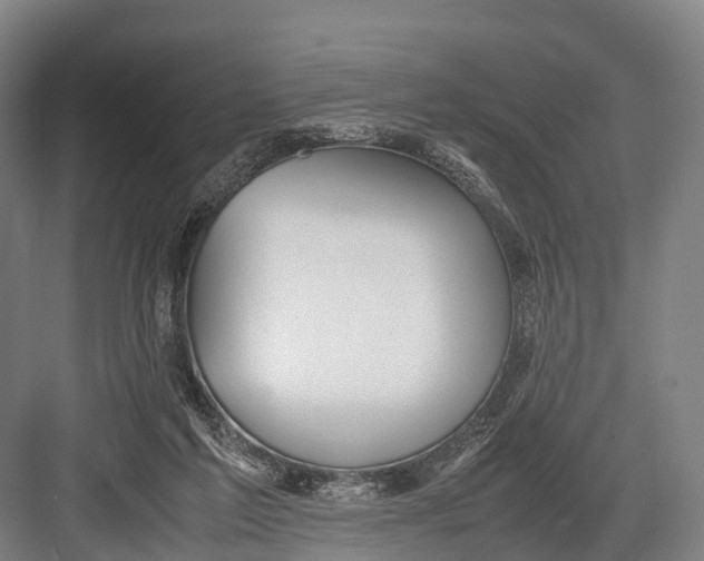 X0000082720213200702161850