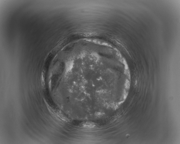 X0000082720214200702161850