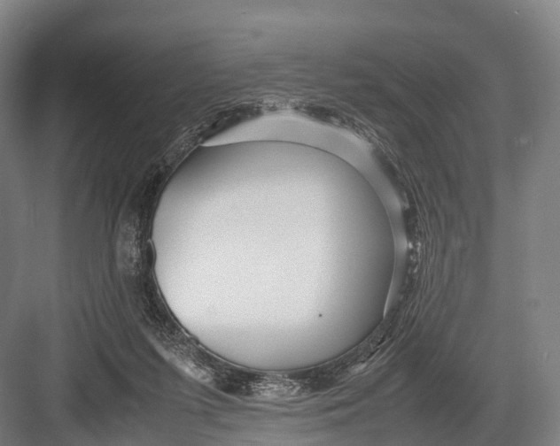 X0000082720215200702161850