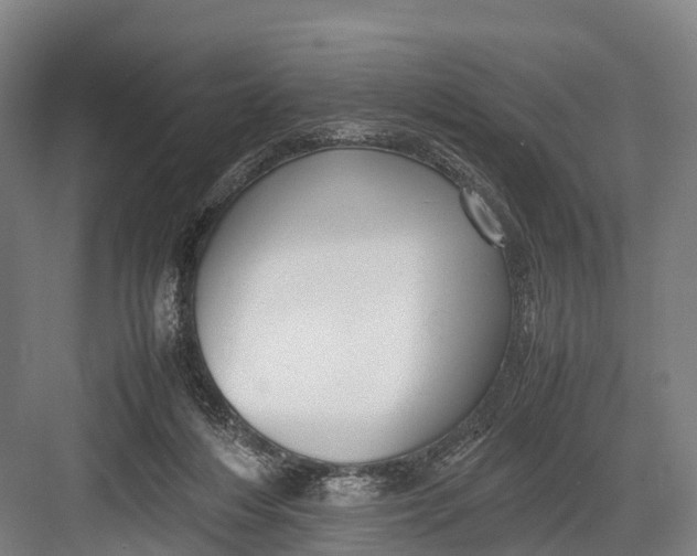 X0000082720216200702161850