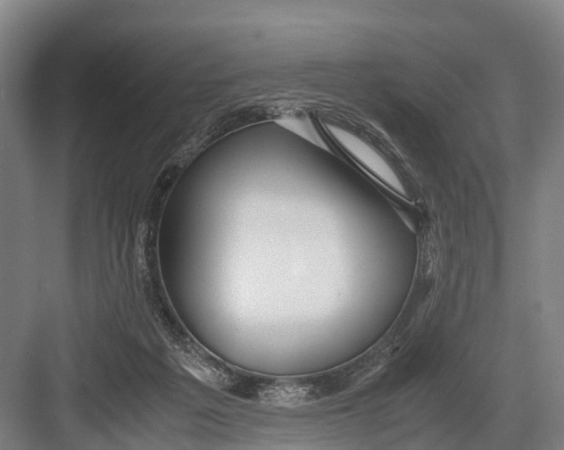 X0000082720217200702161850