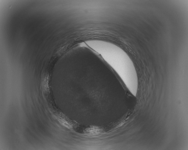 X0000082720219200702161850