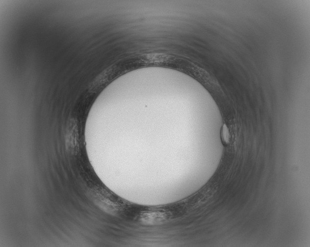 X0000082720220200702161850