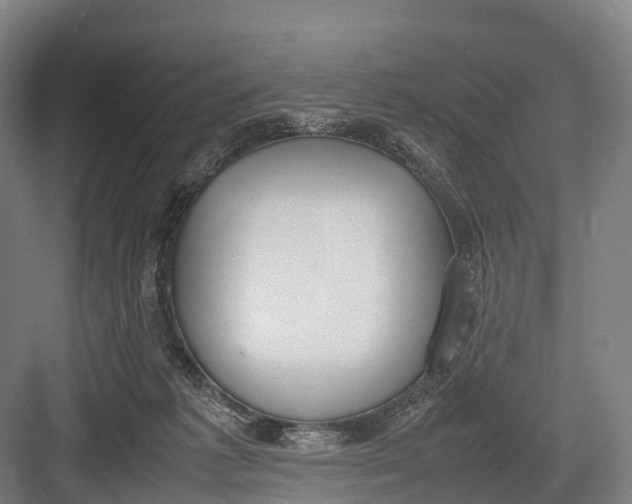 X0000082720221200702161849